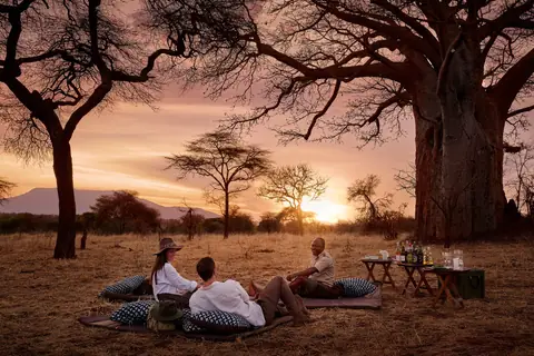Guests gathered for sundowners beneath a baobab as the sun sets