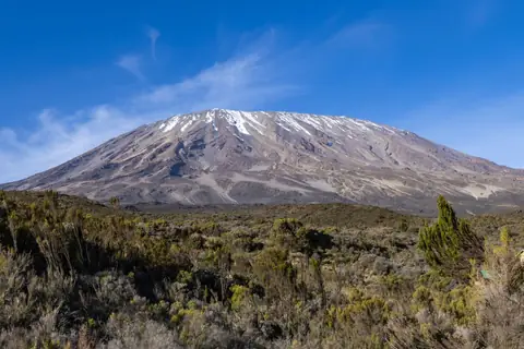 Mount Kilimanjaro rising above highland vegetation under a blue sky