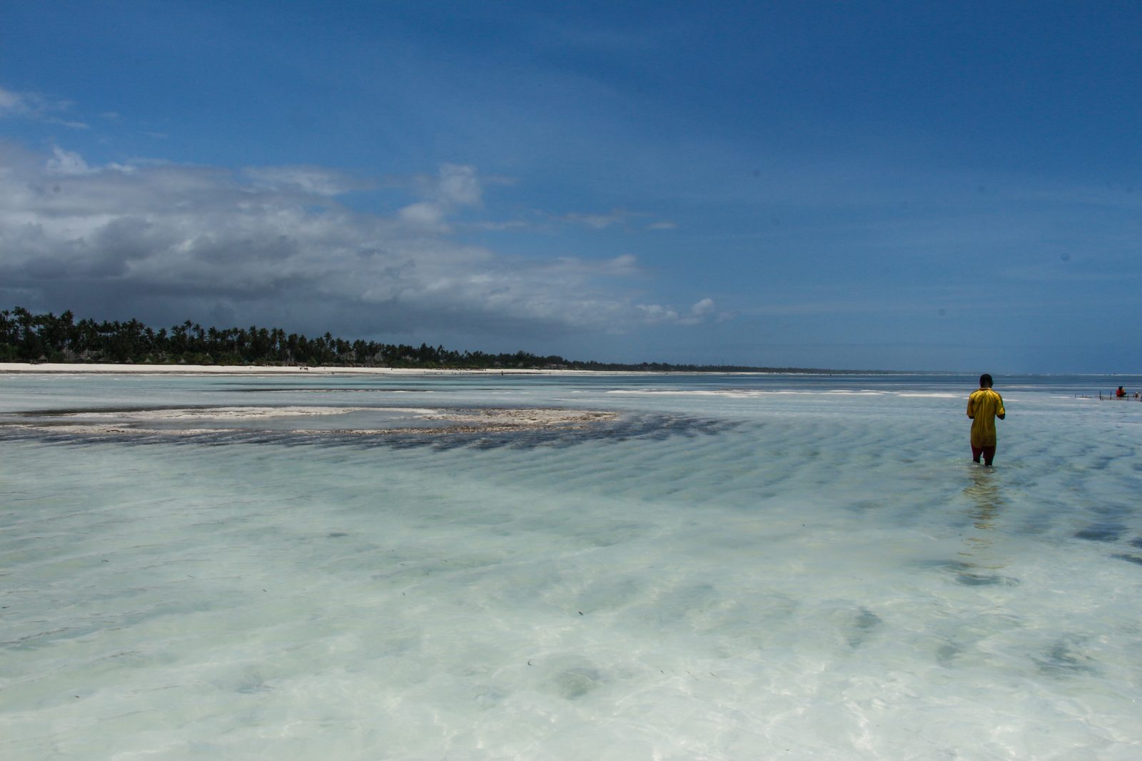 A figure wading the shallow flats off a Zanzibar sandbank